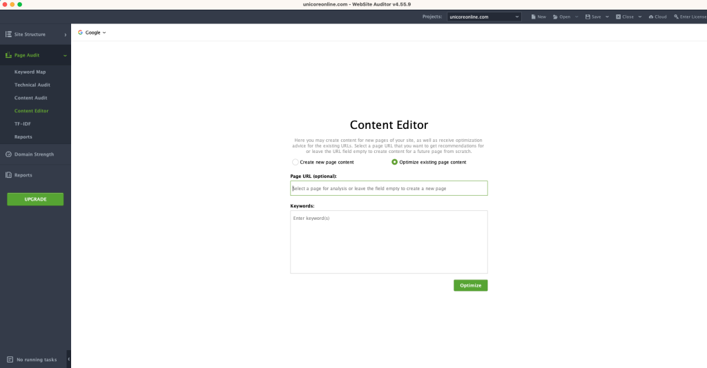 Screenshot of Website Auditor